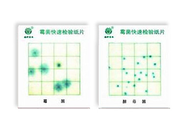 霉菌、酵母菌測試片